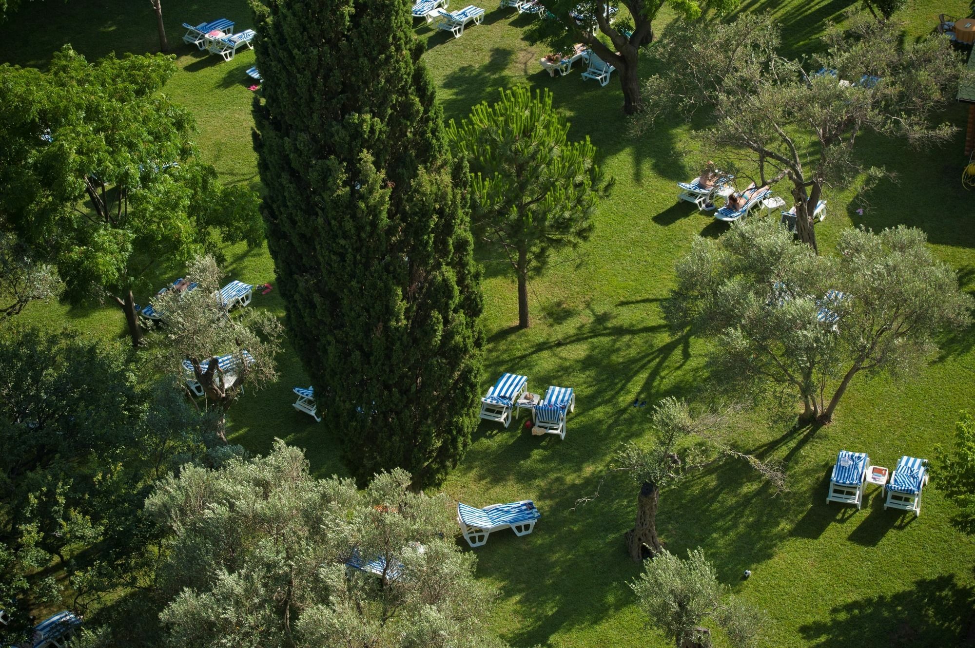 Hotel Rivijera Petrovac Eksteriør billede